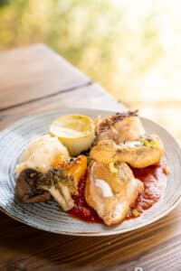 Poulet rôti, sauce tomate, purée et légumes grillés servis sur une terrasse ensoleillée.